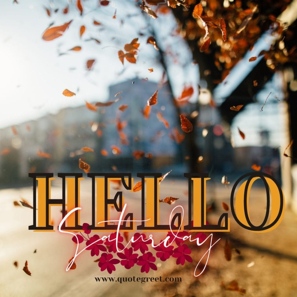 hello-saturday-fall-images-autumn-leaves-beautiful-natural-pic-image-picture-photo