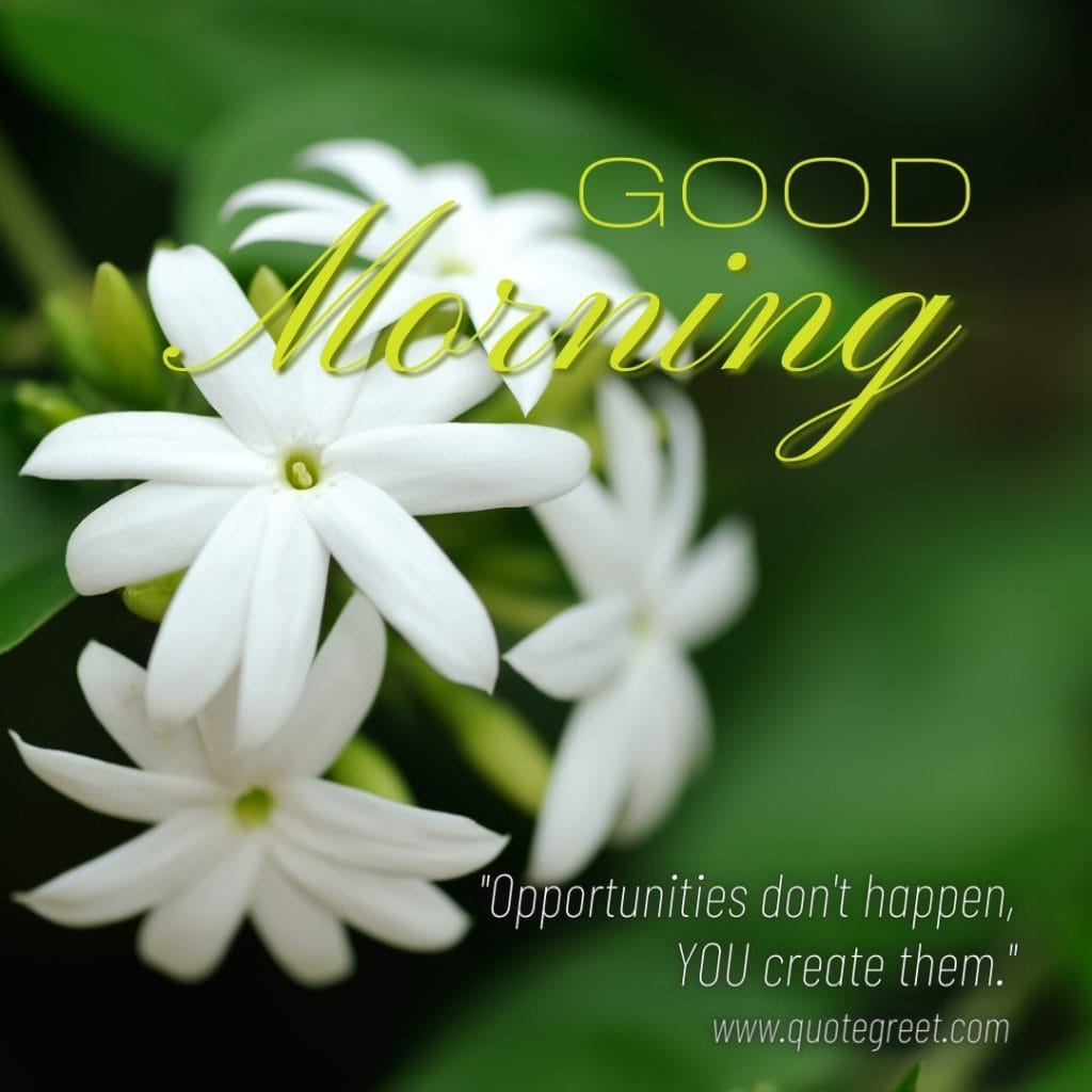 good-morning-quotes-jasmine-flower-images-positive-inspirational-motivational-mogra-flowers-wishes-messages-greetings-quote-beautiful-cute-white-hd-pic-gud-image-picture-photo