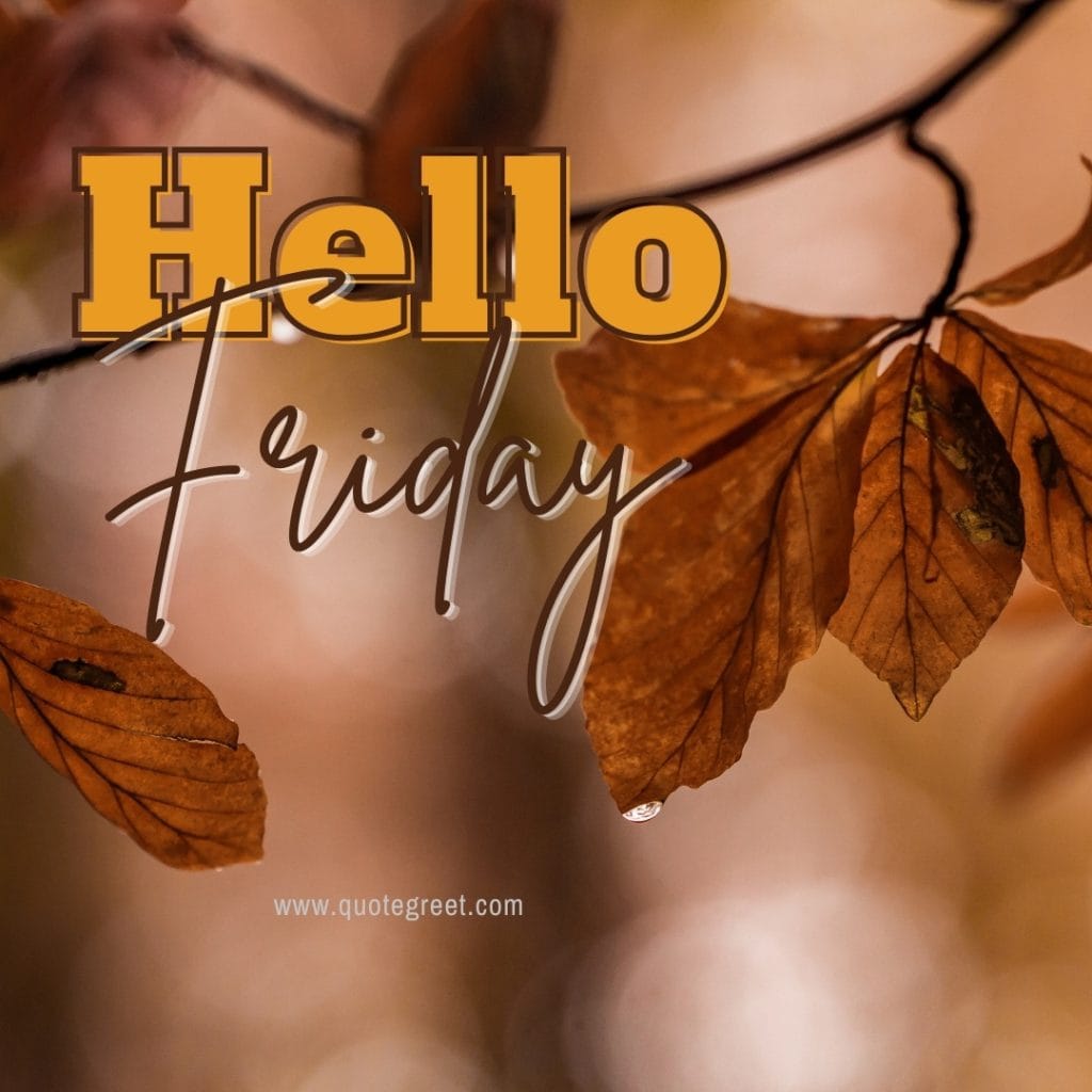 hello-friday-fall-images-autumn-leaves-water-drops-raindrops-dew-leaves-beautiful-pic-image-picture-photo