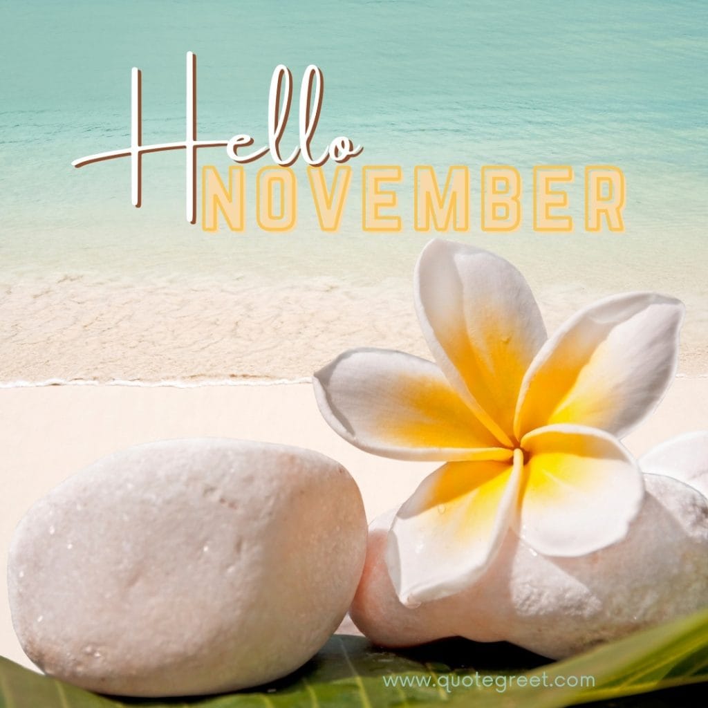 hello-november-beach-images-sea-flower-tropical-sunny-cute-beautiful-pretty