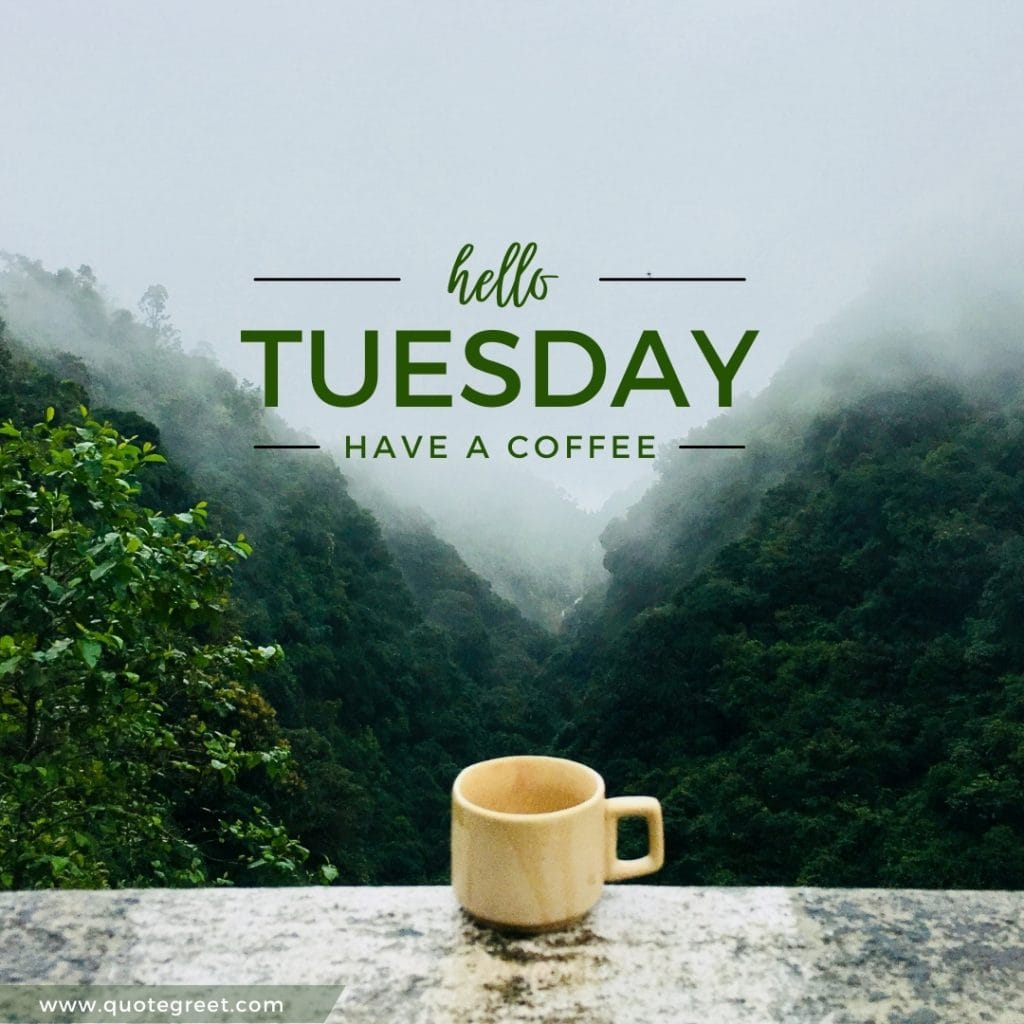 hello-tuesday-coffee-mountains-nature-scenery-green-mug-cup-pic-picture-image-photo