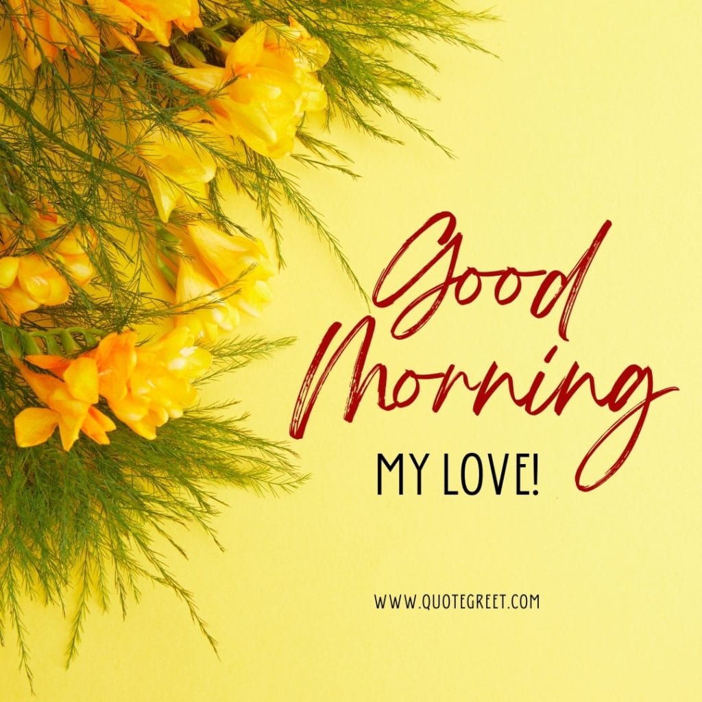 good-morning-my-love-yellow flowers-images-yello-flower-wished-greetings-cute-beautiful-unique-gud-pic-image-picture-photo