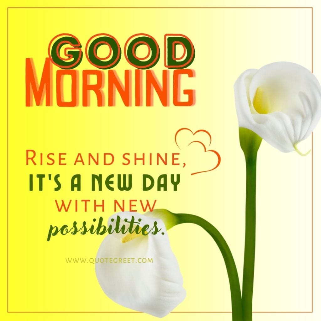 good-morning-white-calla-lily-love-messages-quotes-wishes-heartfelt-hearttouching-her-him-flower-flowers-images-lilies-lillies-lilly-gud-hd-pictures-photo-image