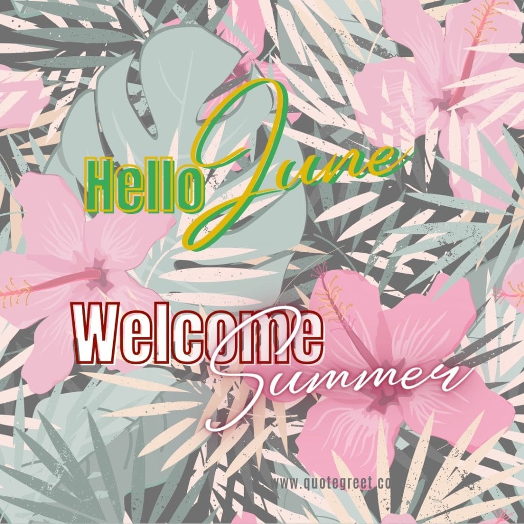 hello-june-welcome-summer-images-vibes-flowers-leaves-hibiscus-aesthetic-pic-image-picture-photo-hd