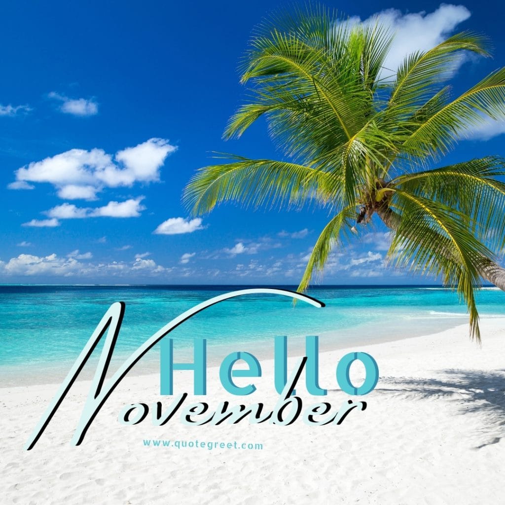 hello-november-beach-images-sea-coconut-tree-maldives-cute-beautiful-pretty