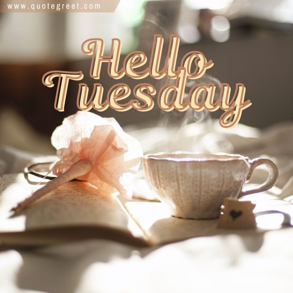 hello-tuesday-coffee-teac-cup-flower-beautiful-aesthetic-brown-peach-pic-picture-image-photo