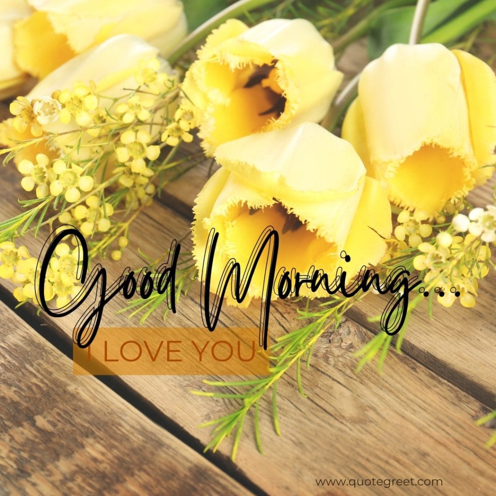 good-morning-i-love-you-yellow flowers-images-yello-flower-wished-greetings-cute-beautiful-unique-gud-pic-image-picture-photo