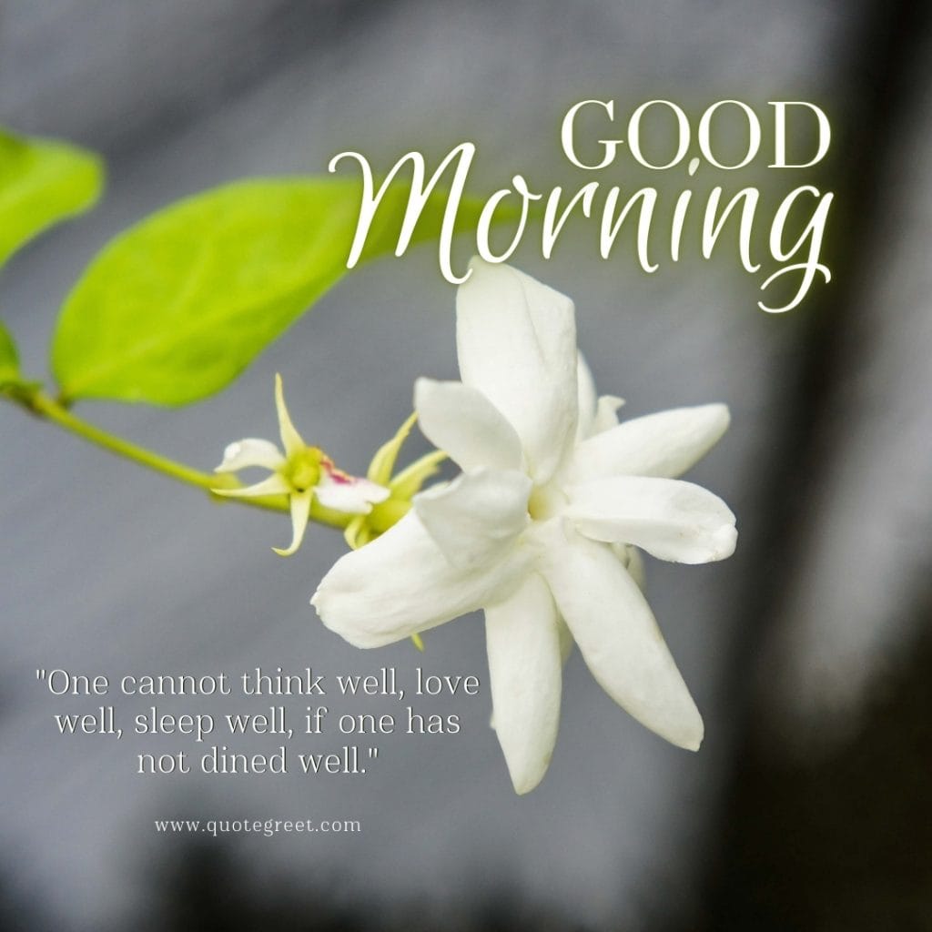 good-morning-quotes-jasmine-flower-images-positive-inspirational-motivational-mogra-flowers-wishes-messages-greetings-quote-beautiful-cute-white-hd-pic-gud-image-picture-photo