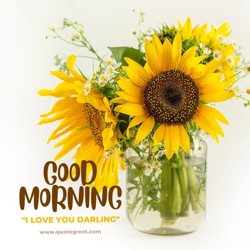 good-morning-i-love-you-my-darling-yellow flowers-images-yello-flower-wished-greetings-cute-beautiful-unique-gud-pic-image-picture-photo