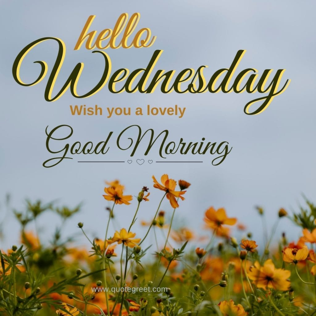 hello-wednesday-good-morning-images-yellow-flower-garden-pic-picture-image-photo