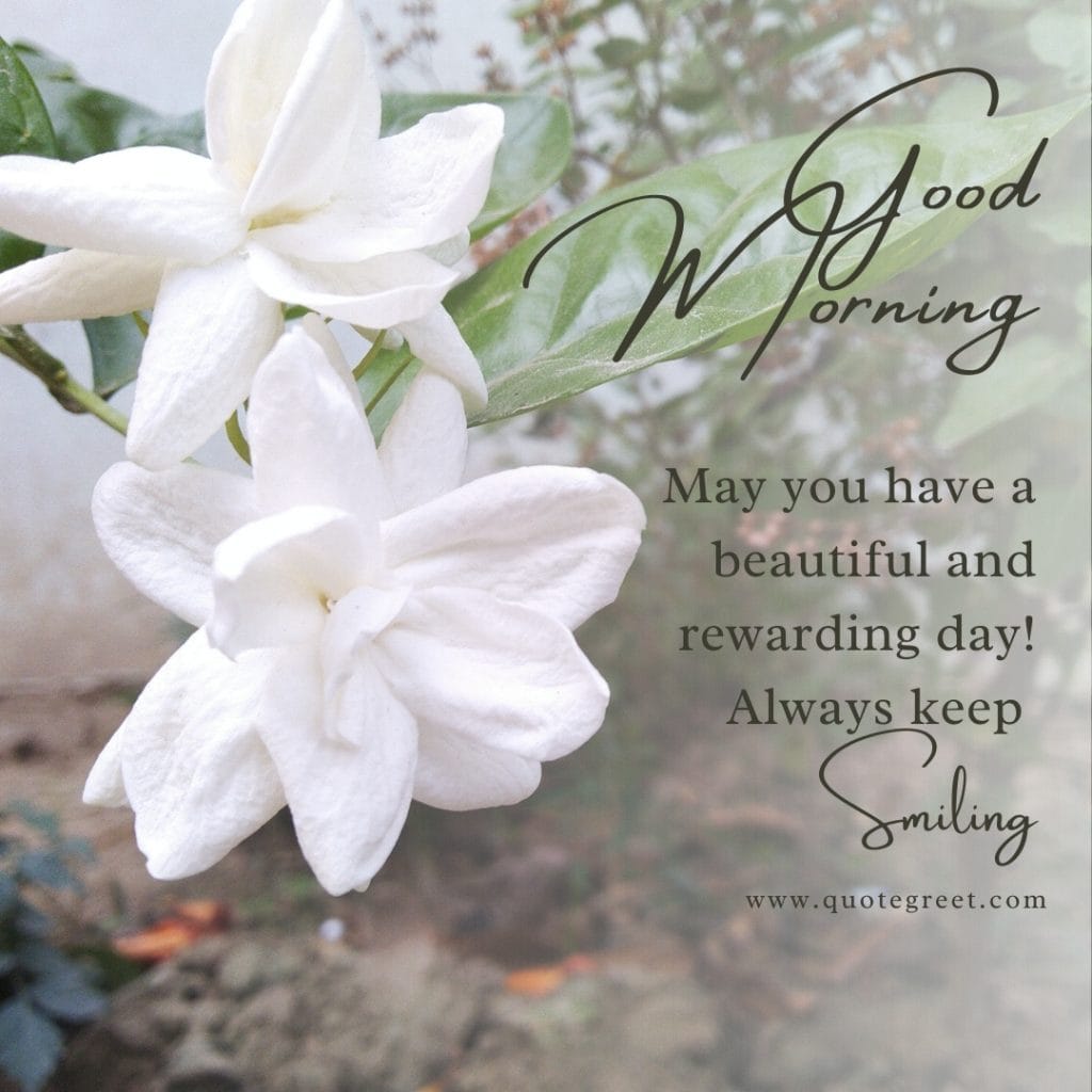 good-morning-jasmine-flower-images-mogra-flowers-quotes-wishes-messages-greetings-beautiful-cute-white-hd-pic-gud-image-picture-photo