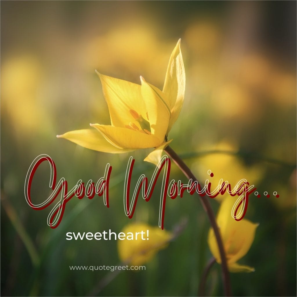 good-morning-sweetheart-yellow flowers-images-yello-flower-wished-greetings-cute-beautiful-unique-gud-pic-image-picture-photo