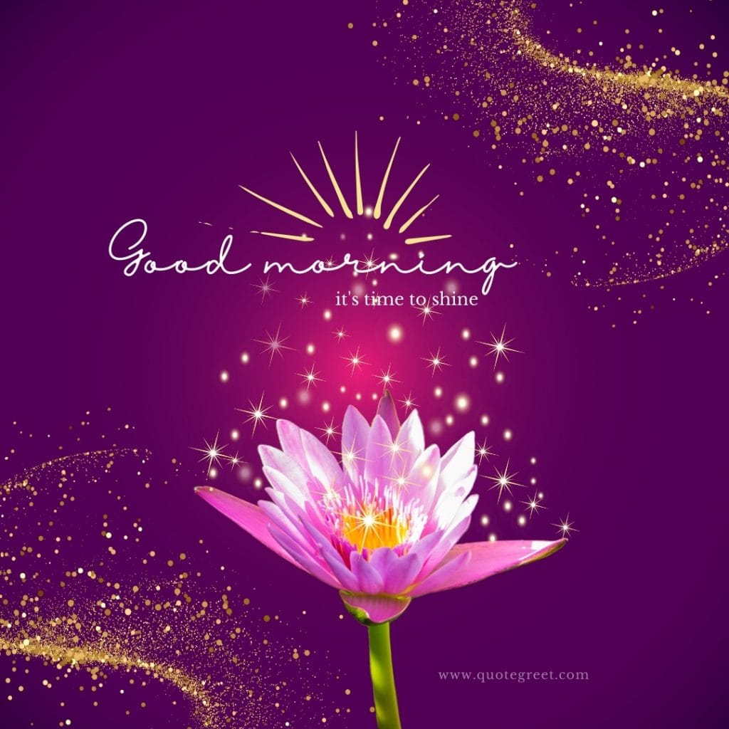 good-moring-pink-lotus-flower-images-its-time-to-shine-aesthetic-beautiful-bloom-sweet-nature-cute-new-special-hd-pic-gud-goodmorning-image-pictures-photo