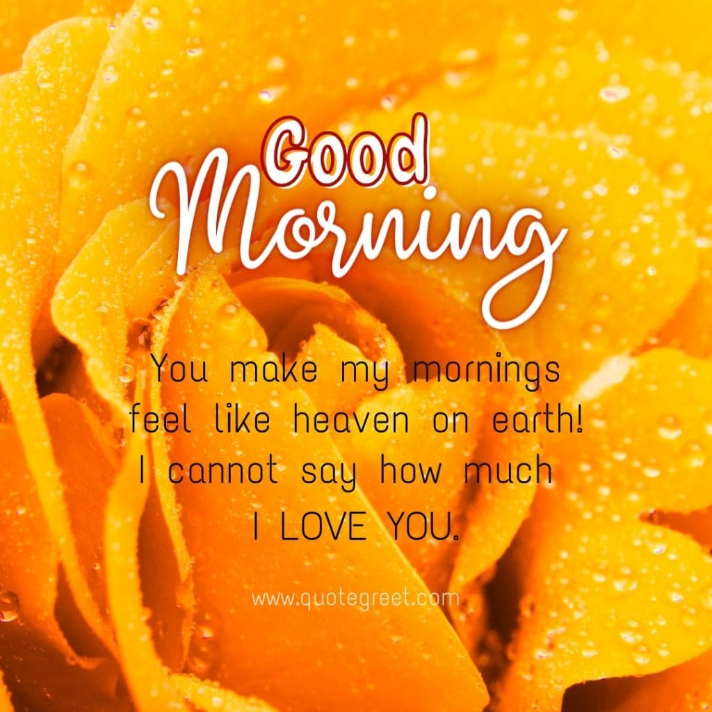 good-morning-I-love-you-yellow flowers-images-quotes-yello-flower-wished-greetings-cute-beautiful-unique-gud-pic-image-picture-photo