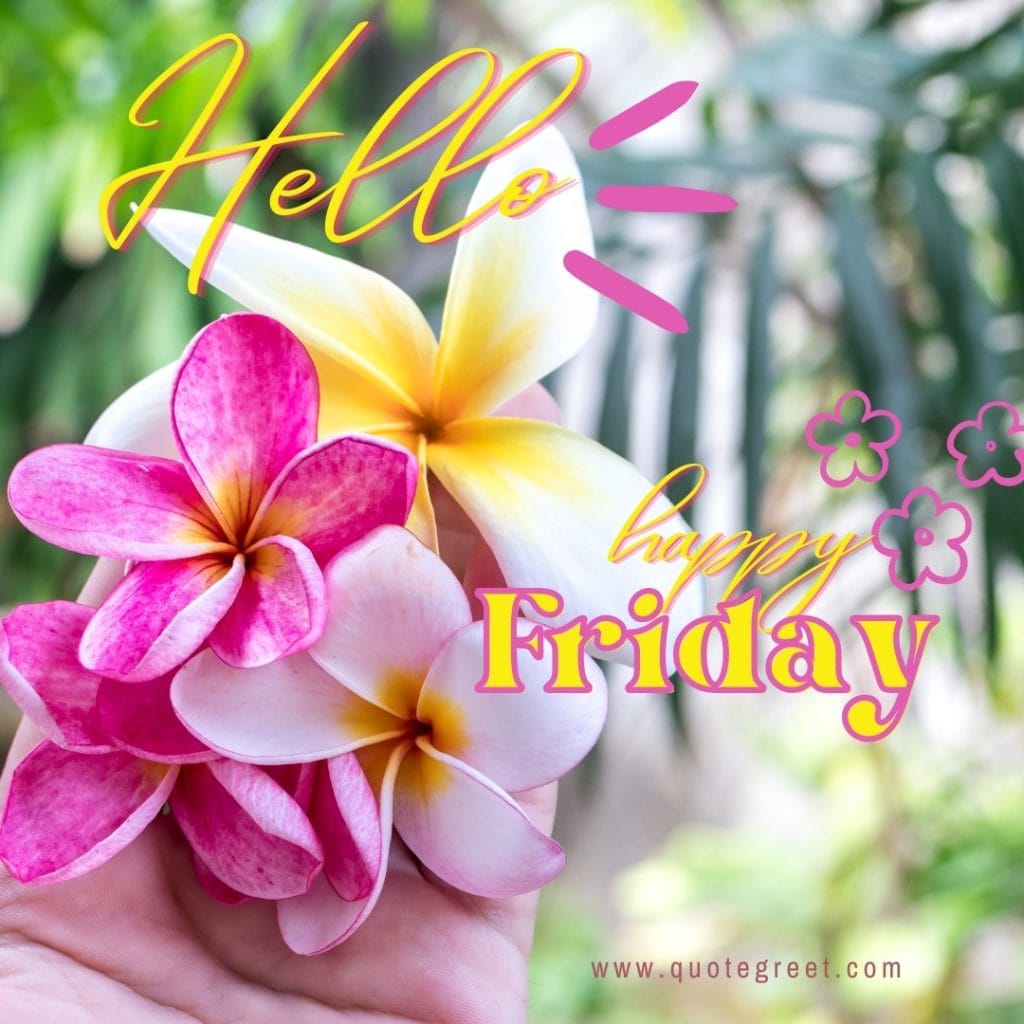 hello-happy-friday-flower-images-natural-fresh-flowers-tropical-pic-image-picture-photo