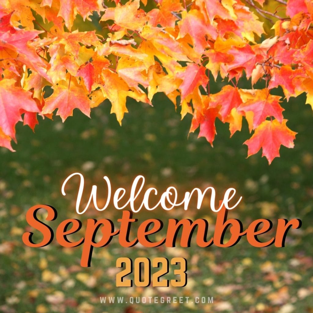 welcome-september-2023-images-fall-leaves-aesthetic-beautiful-cute-modern-pretty-wishes-greetings-pic-picture-image-photo