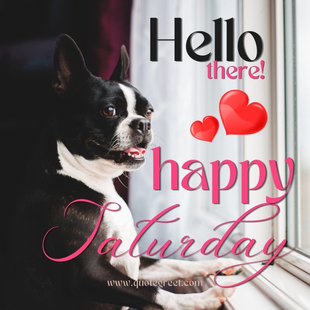 hello-happy-saturday-images-cute-dog-pic-image-picture-photo