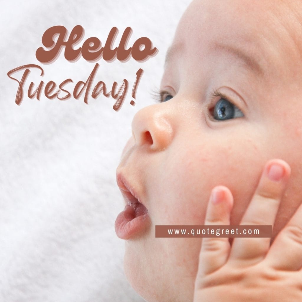 hello-tuesday-funny-cute-baby-image-humor-pic-picture-image-photo