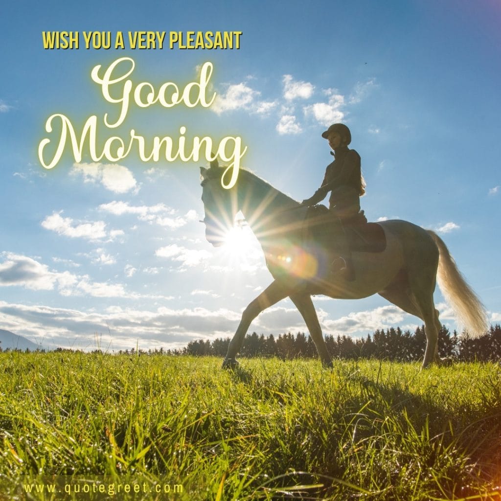 good-morning-wishes-with-beautiful-riding-horse-sunny-nature-image-pic-gud-picture-photo