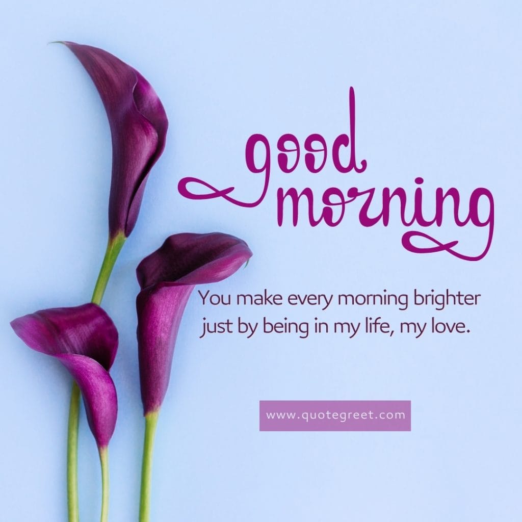 romantic-good-morning-deep-purple-calla-lily-love-messages-quotes-wishes-heartfelt-hearttouching-her-him-images-flower-flowers-dark-lilies-lillies-lilly-gud-hd-pictures-photo-image