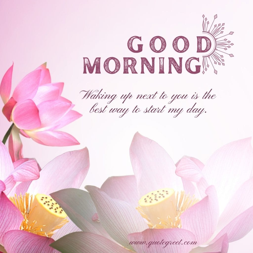 good-moring-love-messages-pink-lotus-flower-images-romantic-quotes-lov-luv-her-him-husband-wife-girlfriend-boyfriend-beautiful-bloom-sweet-nature-cute-new-special-hd-pic-gud-goodmorning-image-pictures-photo