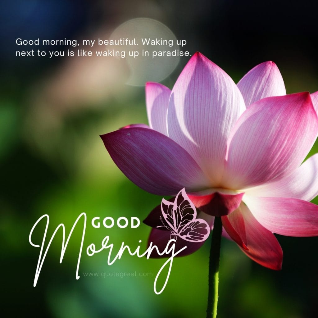 good-moring-love-messages-pink-lotus-flower-images-romantic-quotes-lov-luv-her-him-husband-wife-girlfriedn-boyfriend-beautiful-bloom-sweet-nature-cute-new-special-hd-pic-gud-goodmorning-image-pictures-photo