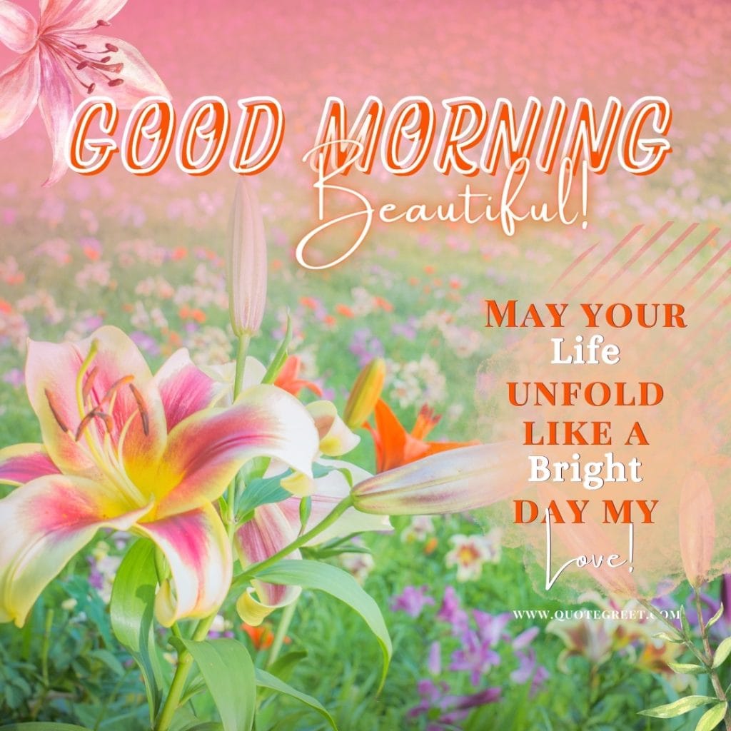 good-morning-beautiful-stargazer-lily-images-love-romantic-quotes-positive-inspirational-motivational-quote-beautiful-cute-pretty-flower-flowers-lilies-lillies-lilly-gud-hd-pictures-photo-image