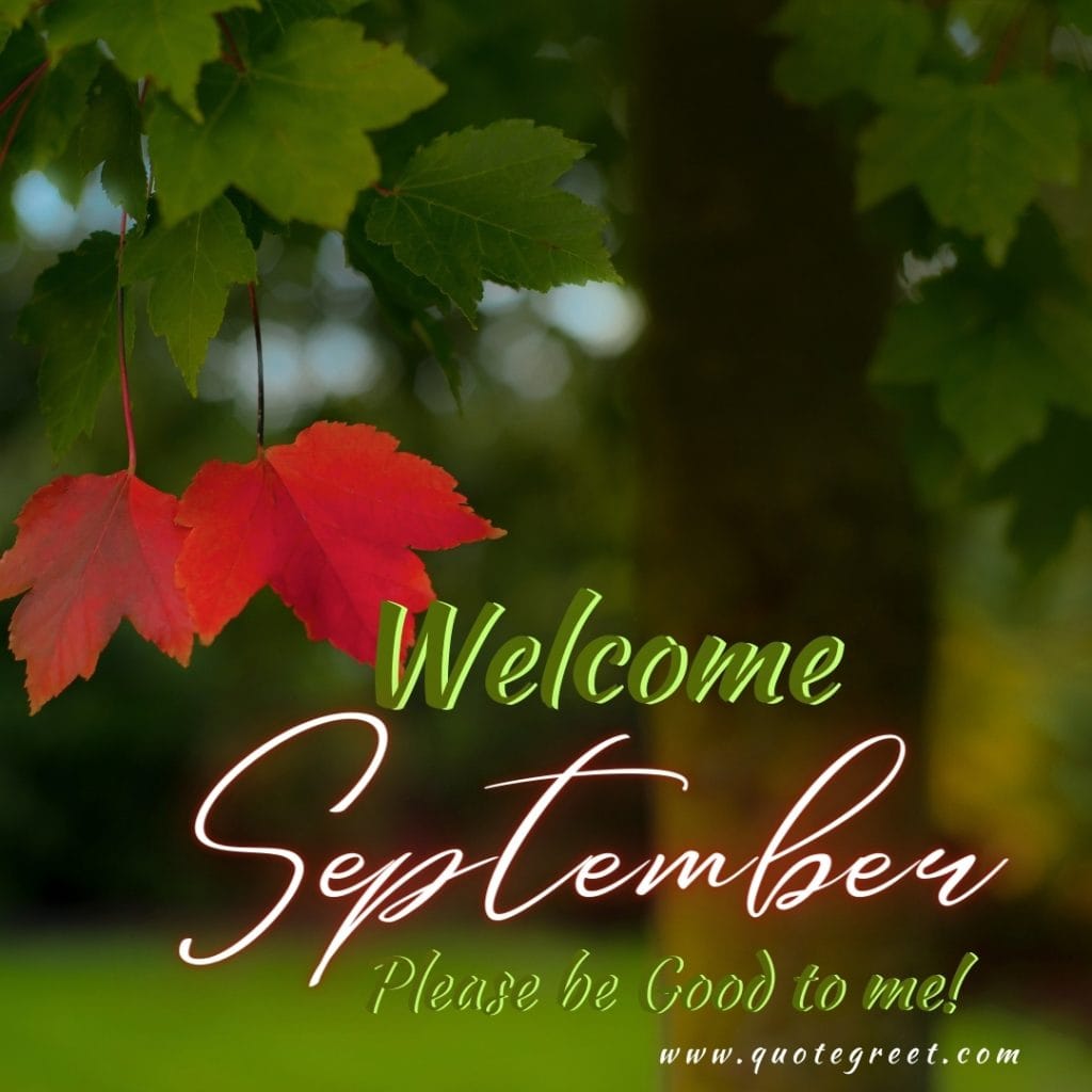 welcome-september-please-be-good-images-green-nature-aesthetic-beautiful-cute-modern-pretty-wishes-greetings-pic-picture-image-photo