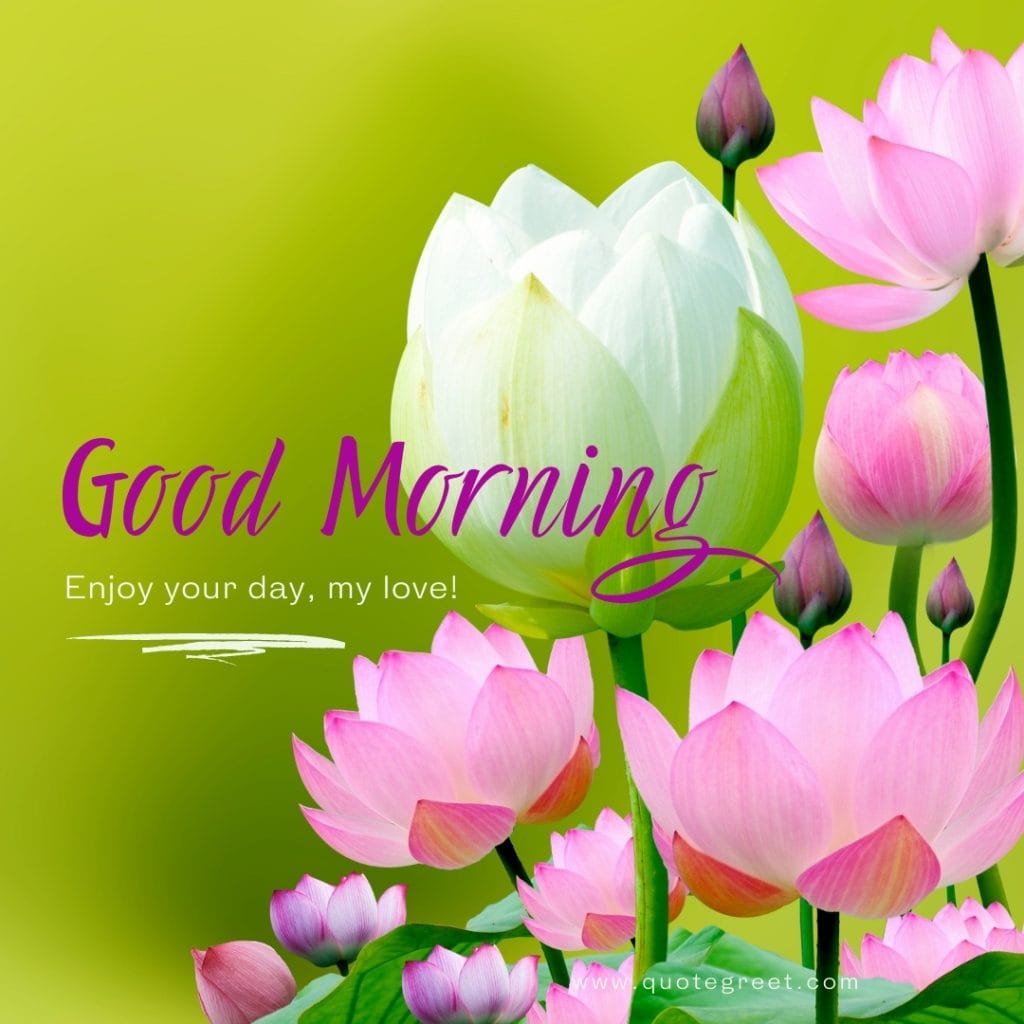 good-moring-love-messages-pink-white-lotus-flower-images-romantic-quotes-lov-luv-her-him-husband-wife-gilrfriend-boyfriend-beautiful-bloom-sweet-nature-cute-new-special-hd-pic-gud-goodmorning-image-pictures-photo