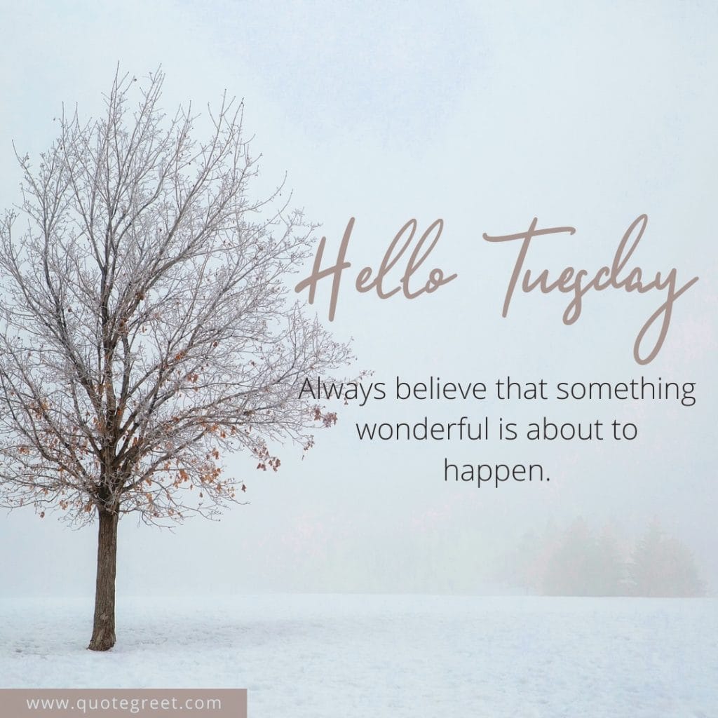 hello-tuesday-quotes-winter-images-quote-tree-pic-picture-image-photo