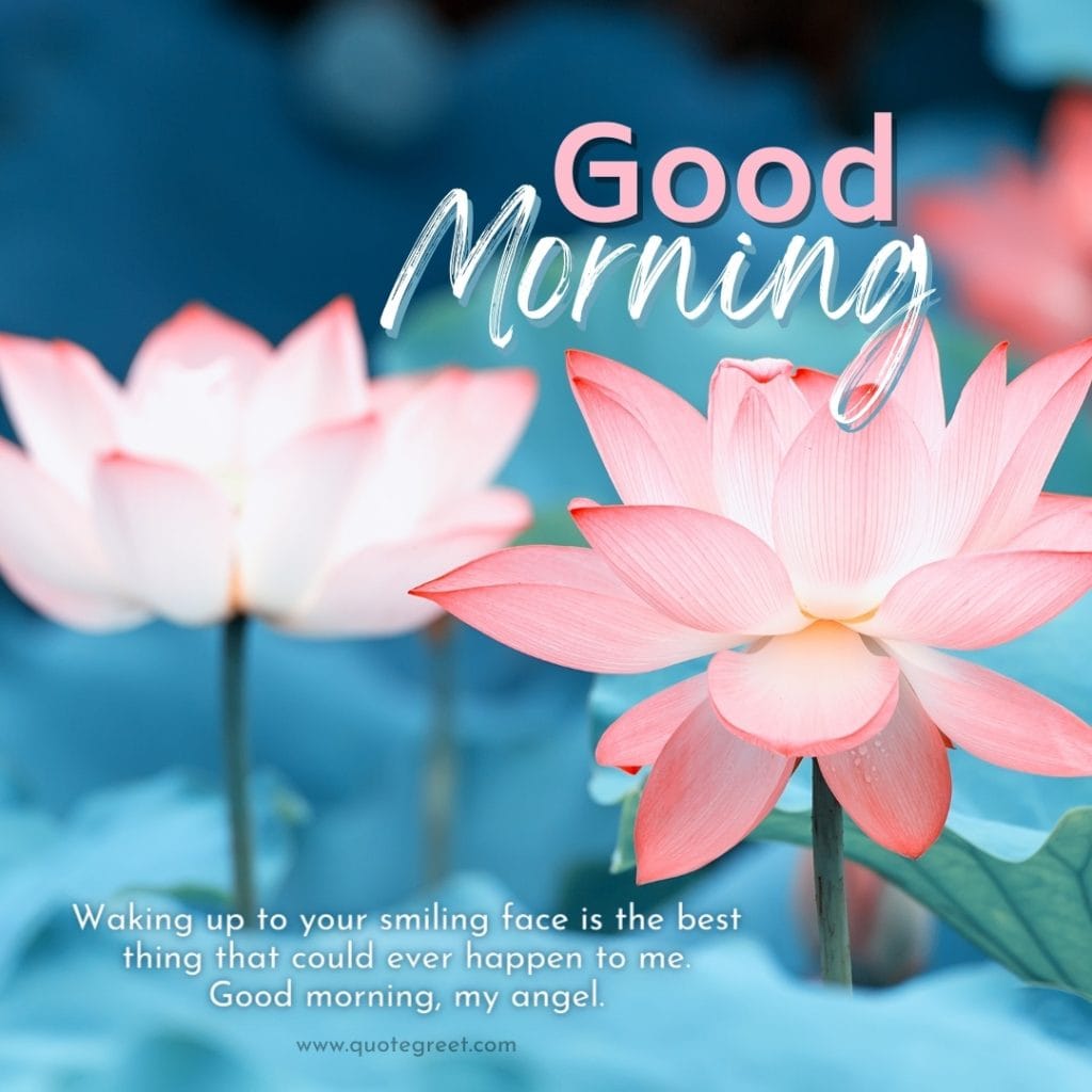 good-moring-love-messages-pink-lotus-flower-images-romantic-quotes-lov-luv-her-him-husband-wife-girfrien-boyfriend-beautiful-bloom-sweet-nature-cute-new-special-hd-pic-gud-goodmorning-image-pictures-photo