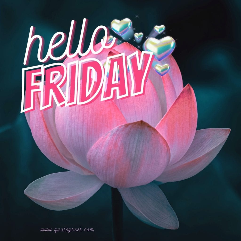 beautiful-hello-friday-images-lotus-flower-cute-pic-image-picture-photo