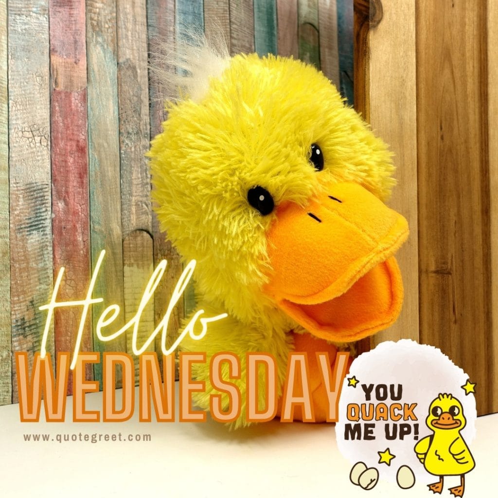 cute-hello-wednesday-images-yellow-duck-toy-pic-picture-image-photo