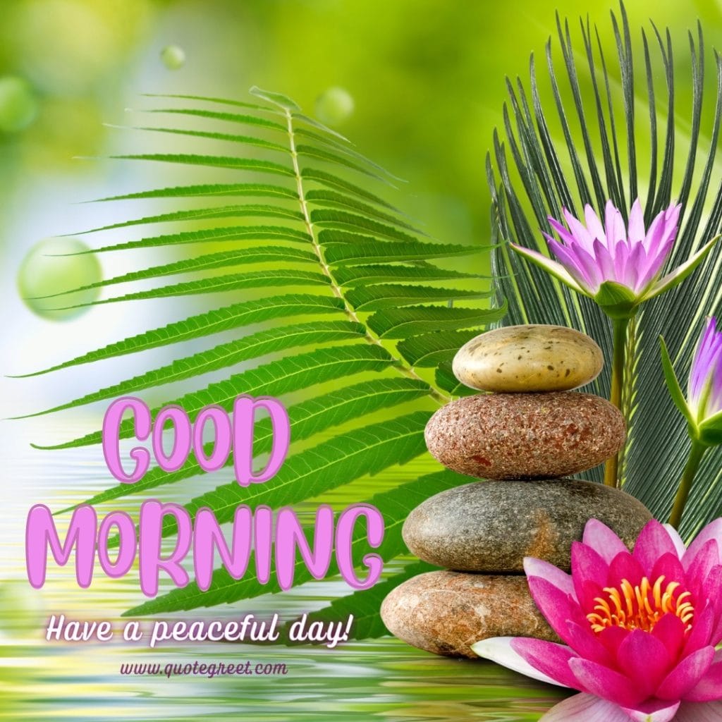 good-moring-lotus-flower-images-pruple-wishes-have-a-peaceful-day-flowers-beautiful-bloom-sweet-nature-cute-new-special-hd-pic-gud-goodmorning-image-pictures-photo