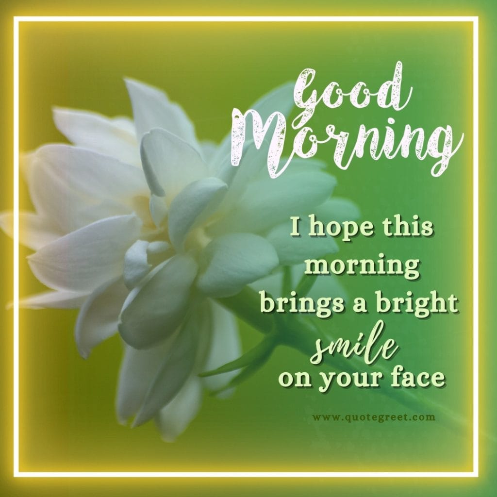 good-morning-jasmine-flower-images-quotes-mogra-flower-messages-wishes-beautiful-cute-white-hd-pic-gud-image-picture-photo