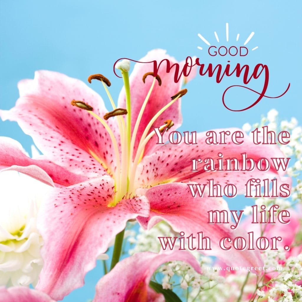 good-morning-pink-stargazer-lily-images-quotes-positive-inspirational-motivational-quote-flower-flowers-beautiful-cute-pretty-lilies-lillies-lilly-gud-hd-pictures-photo-image