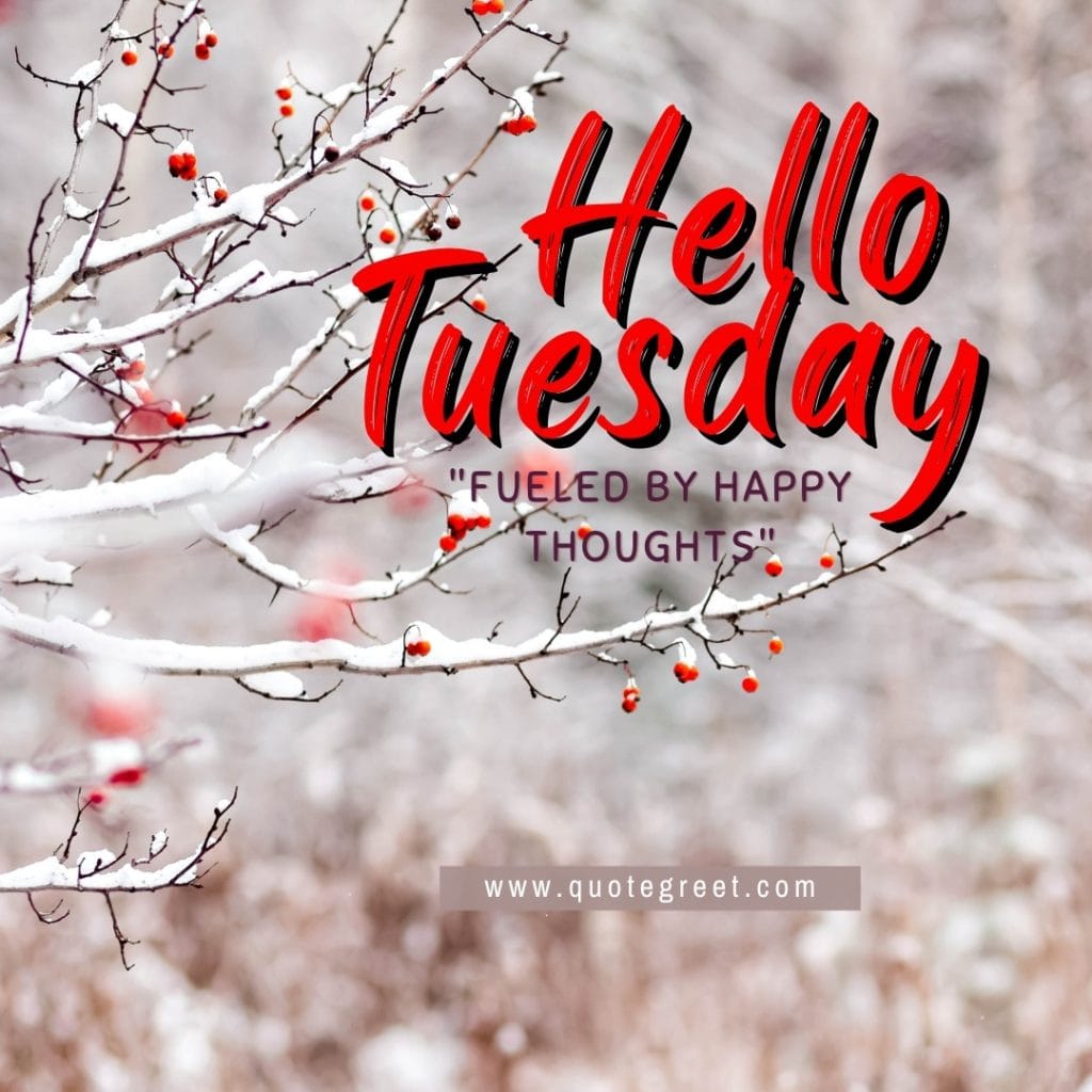 hello-tuesday-winter-snow-red-tree-nature-natural-hd-scenery-pic-picture-image-photo