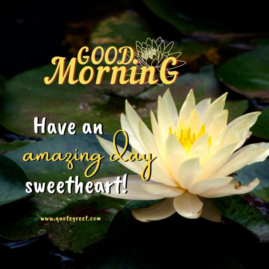 good-morning-water-lily-white-images-quotes-positive-inspirational-motivational-quote-single-flower-one-beautiful-cute-pretty-lilies-lillies-lilly-gud-hd-pictures-photo-image