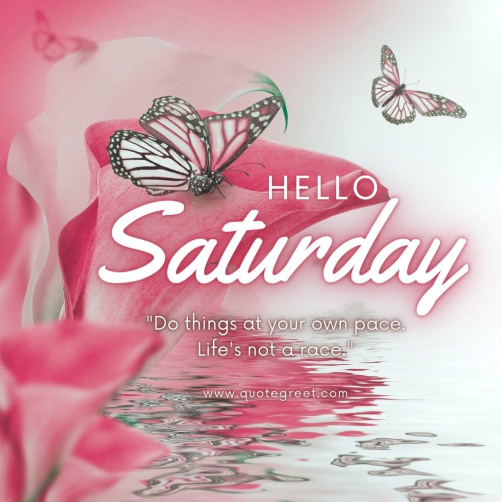 hello-saturday-quotes-images-motivational-pink-flower-butterly-butterflies-aesthetic-modern-instagram-quote-positive-inspirational-pic-image-picture-photo