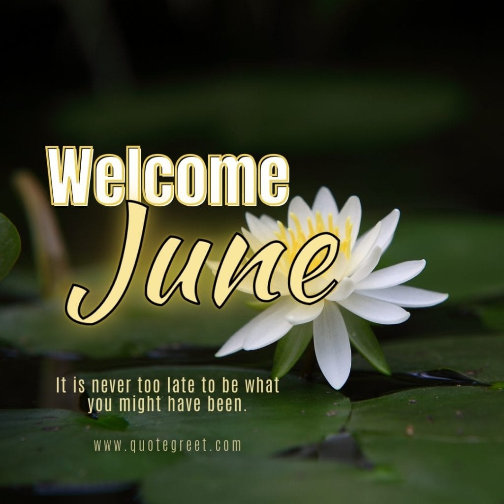 welcome-june-images-lotus-flower-white-pic-image-picture-photo-hd