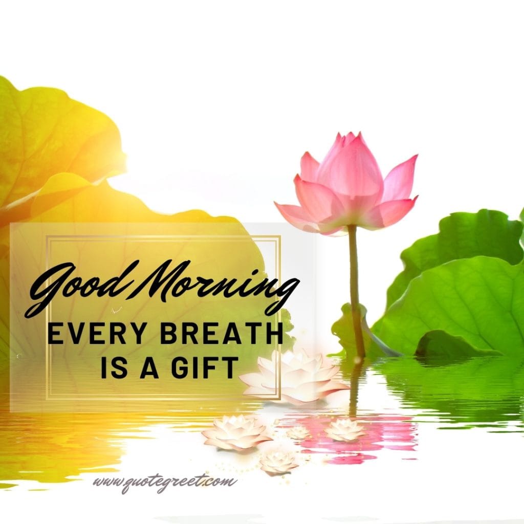 good-moring-quotes-pink-lotus-flower-images-positive-motivational-inspirational-water-beautiful-bloom-sweet-nature-cute-new-special-hd-pic-gud-goodmorning-image-pictures-photo