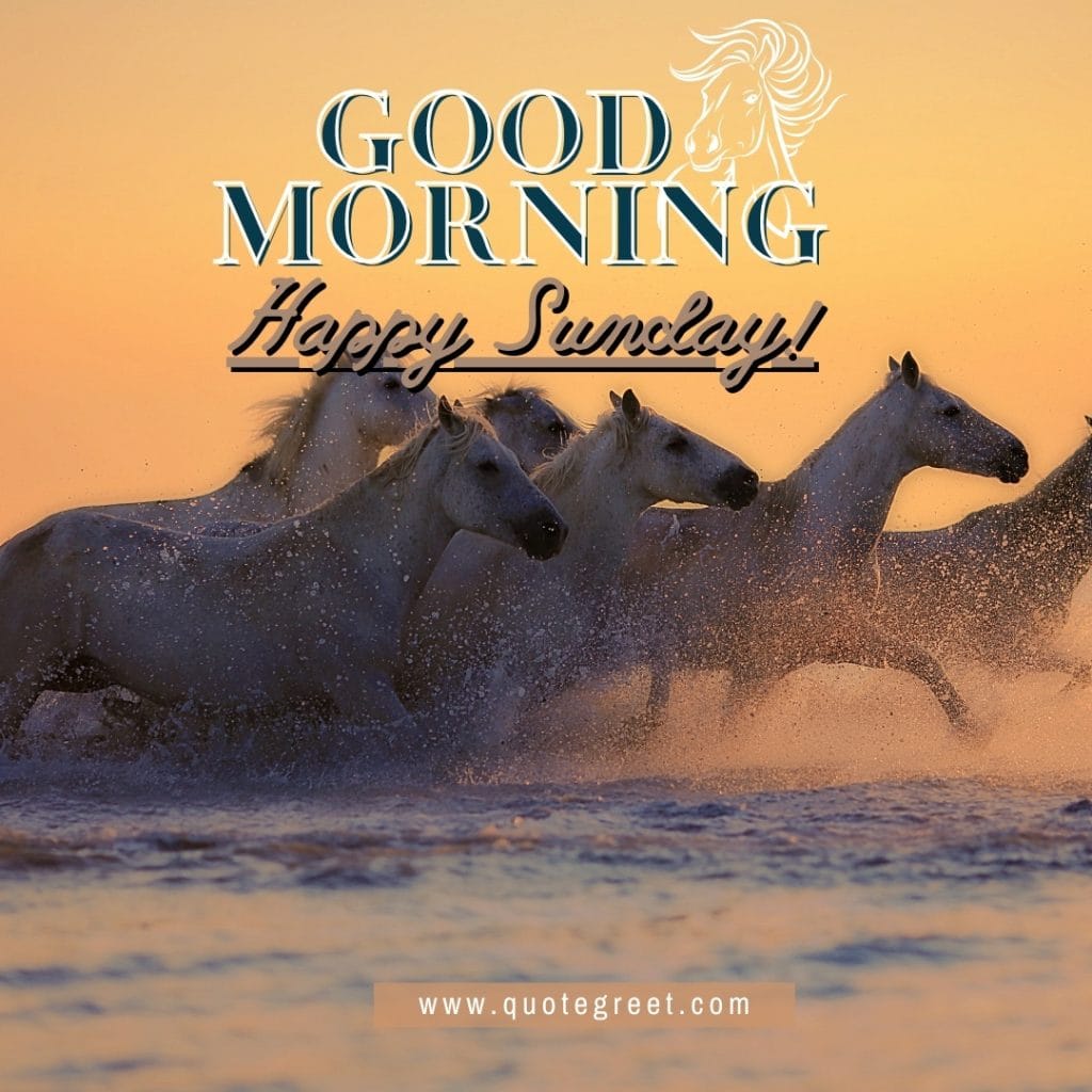 happy-sunday-good-morning-horses-running-sea-water-nature-image-pic-gud-picture-photo