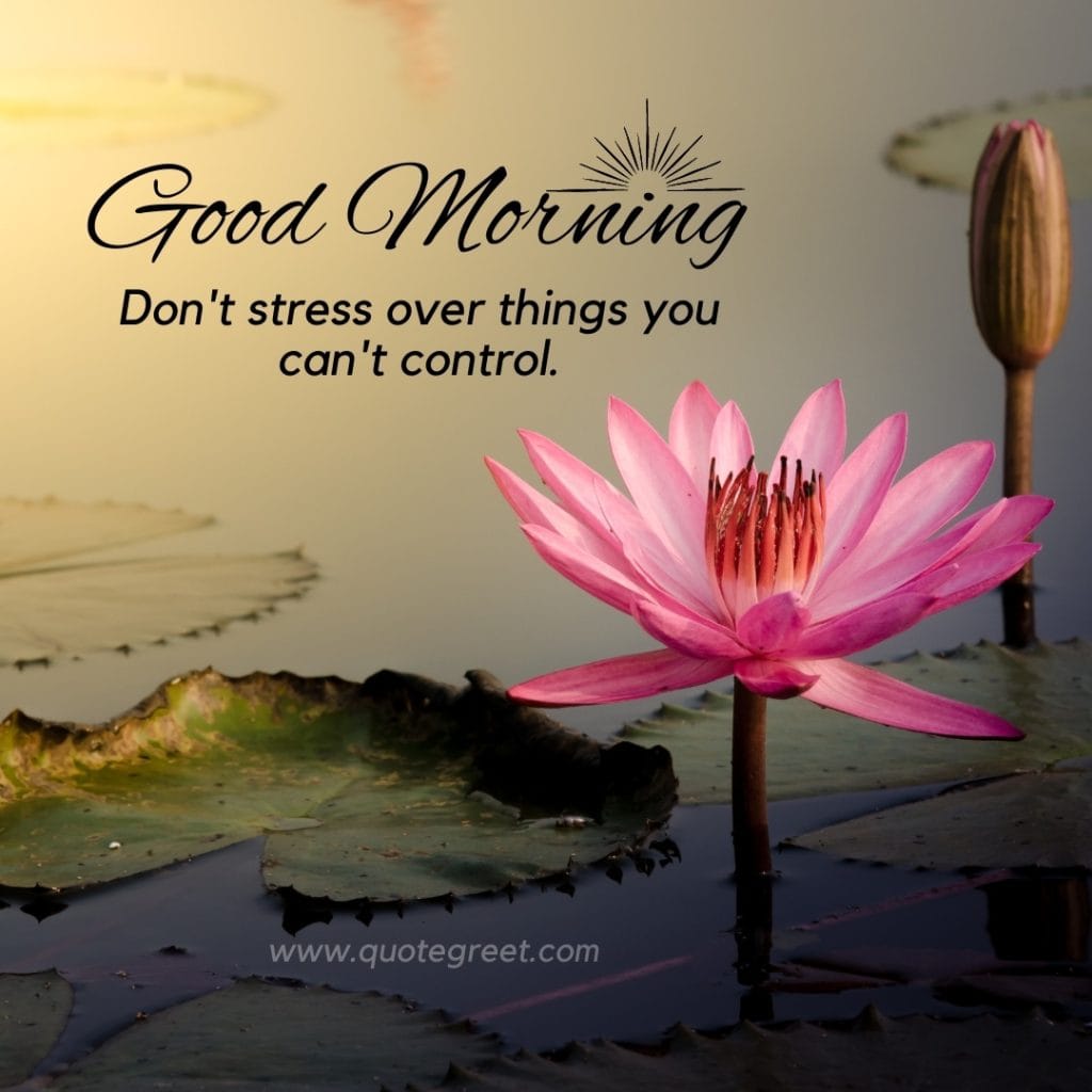 good-moring-quotes-pink-lotus-flower-images-positive-motivational-inspirational-water-aesthetic-beautiful-bloom-sweet-nature-cute-new-special-hd-pic-gud-goodmorning-image-pictures-photo