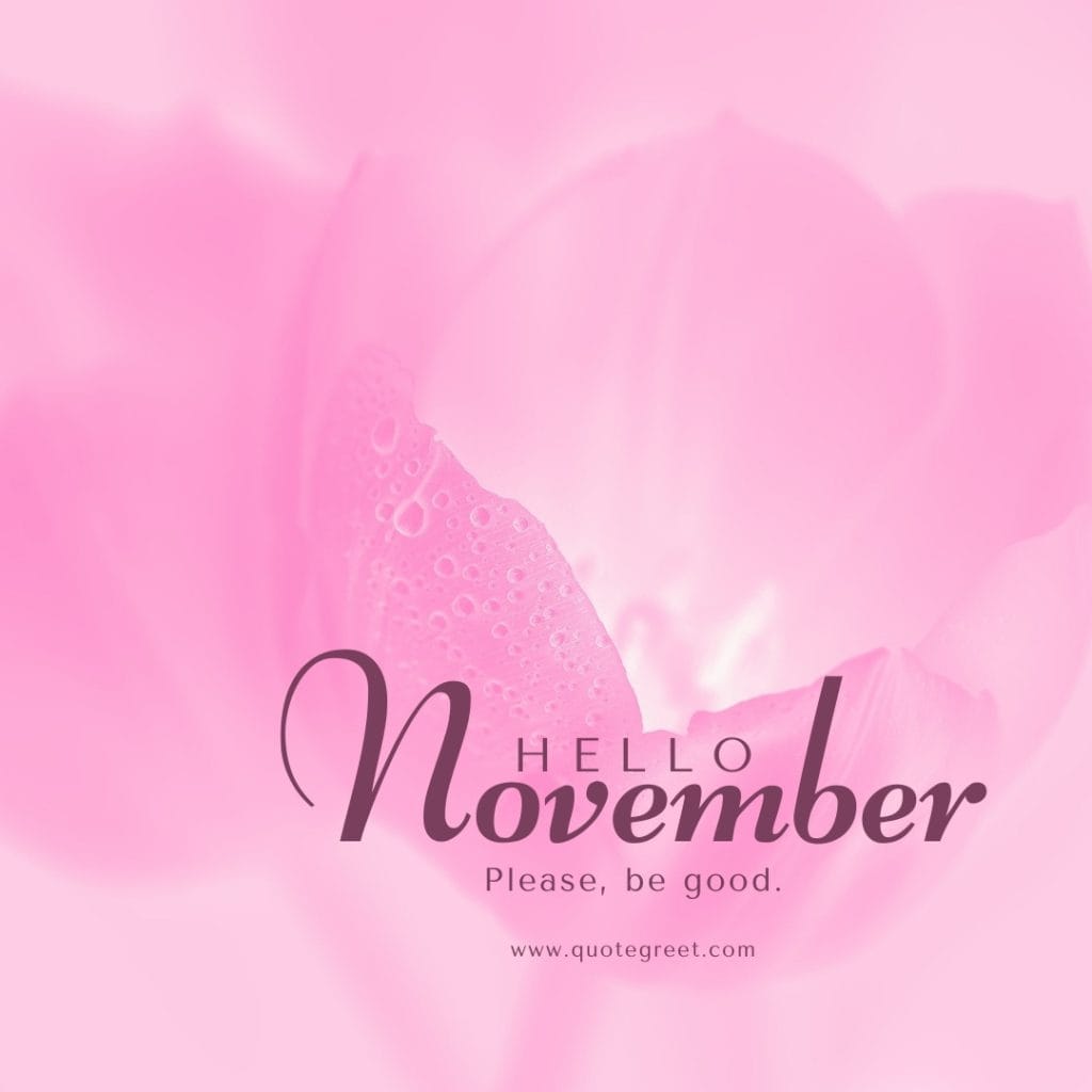 pink-hello-november-please-be-good-images-flower-aesthetic-minimalist-modern-cute-beautiful-pretty-girly