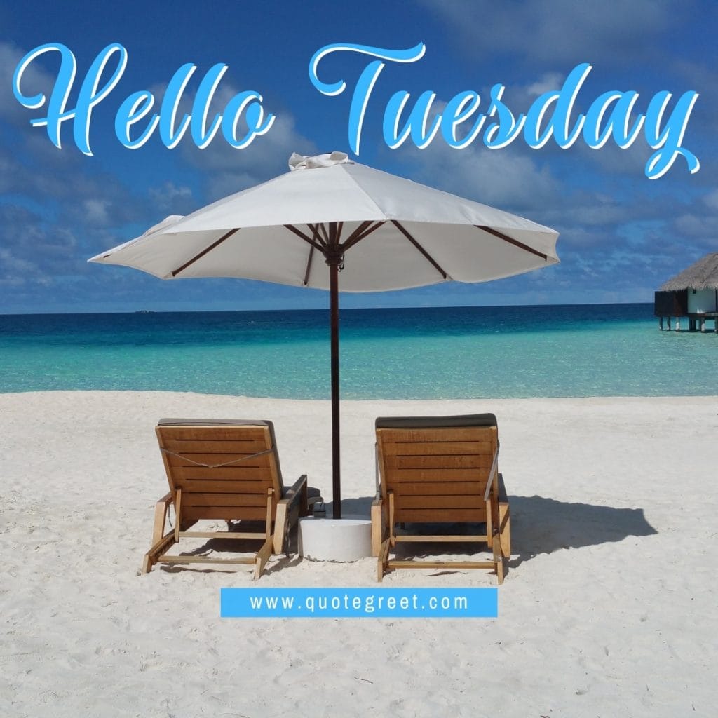 hello-tuesday-beach-beds-umbrella-sea-ocean-natural-nature-scenery-pic-picture-image-photo