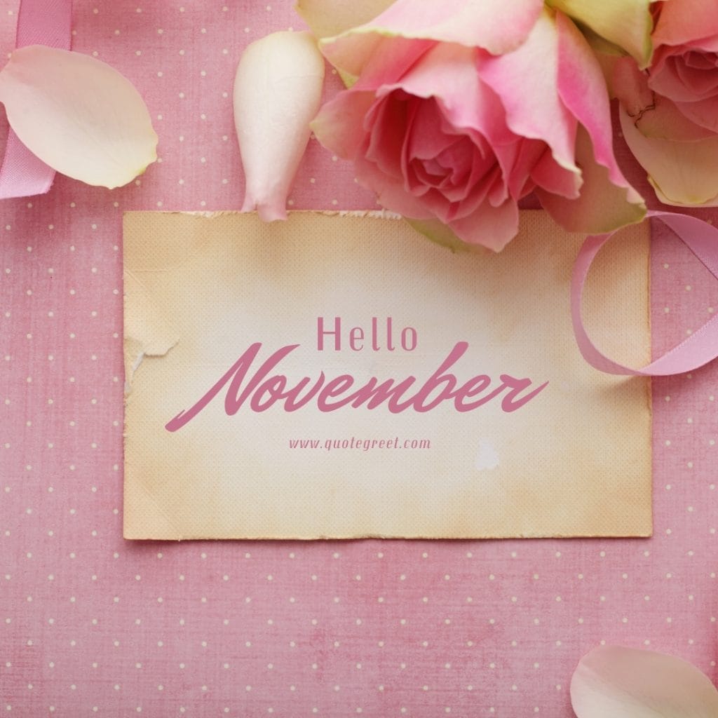 pink-hello-november-images-rose-petals-vintage-romantic-love-cute-beautiful-pretty-girly