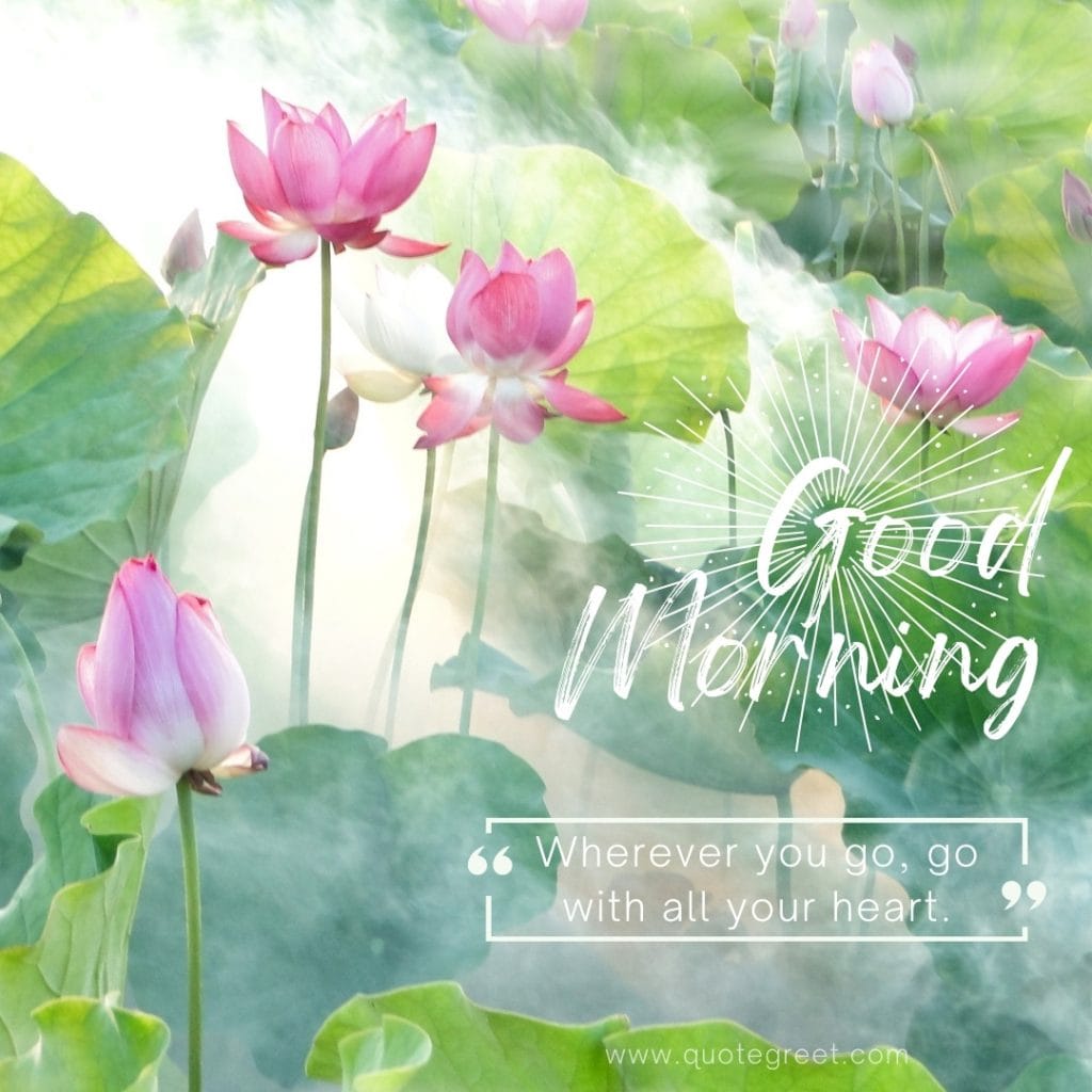 good-moring-quotes-pink-lotus-flower-images-positive-motivational-inspirational-quote-smoke-beautiful-bloom-sweet-nature-cute-new-special-hd-pic-gud-goodmorning-image-pictures-photo