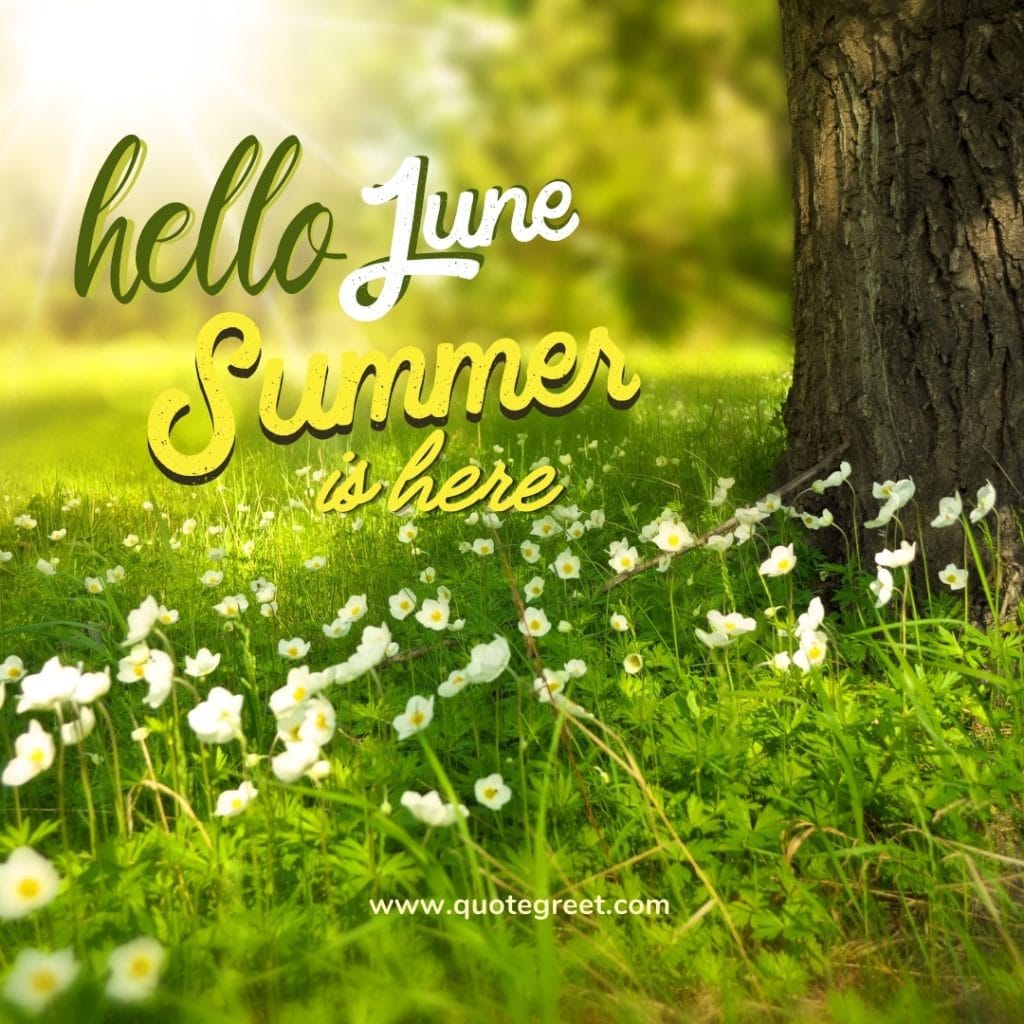 hello-june-summer-is-here-images-vibes-vibe-beautiful-nature-cute-pic-image-picture-photo-pic-image-picture-photo-hd