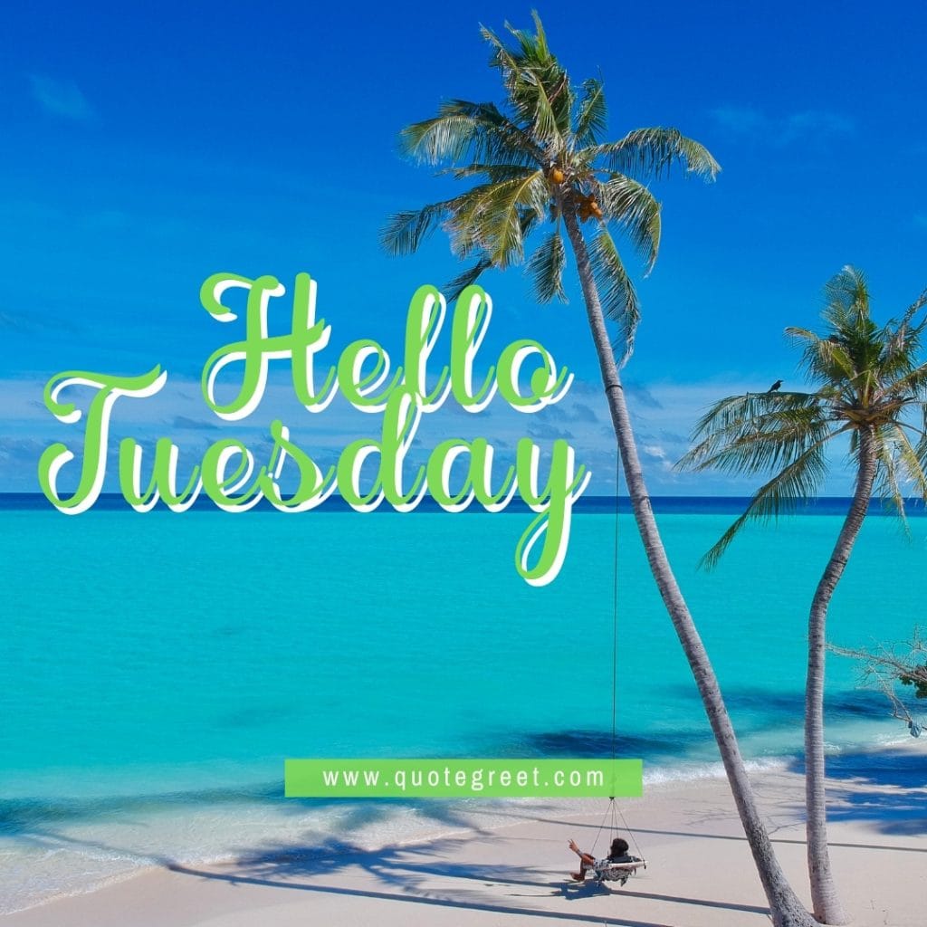 hello-tuesday-beautiful-beach-coconut-tree-sea-nature-natural-maldives-shore-pic-picture-image-photo