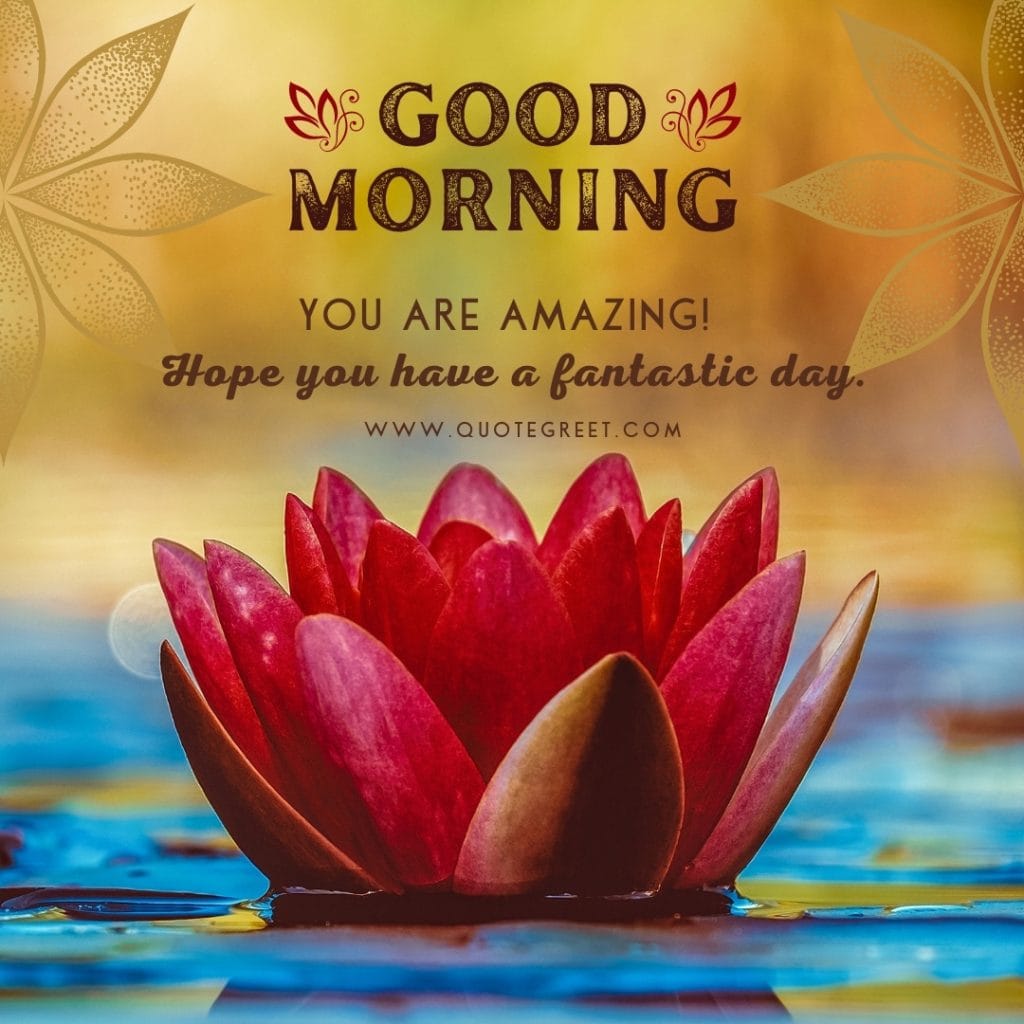 good-morning-water-lily-red-images-wishes-messages-flower-one-single-lilies-lillies-lilly-gud-hd-pictures-photo-image